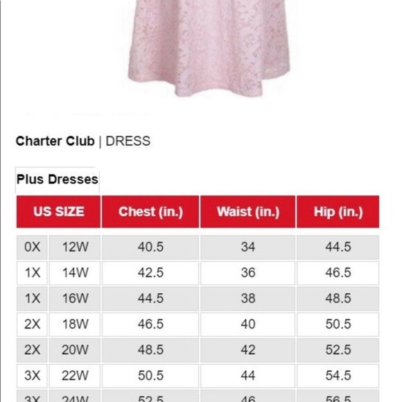 CHARTER CLUB pull over knee length dress, with scalloped cuff sleeves. (lace) - Picture 10 of 13